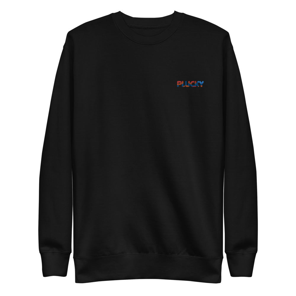 Plucky Embroidered Sweatshirt