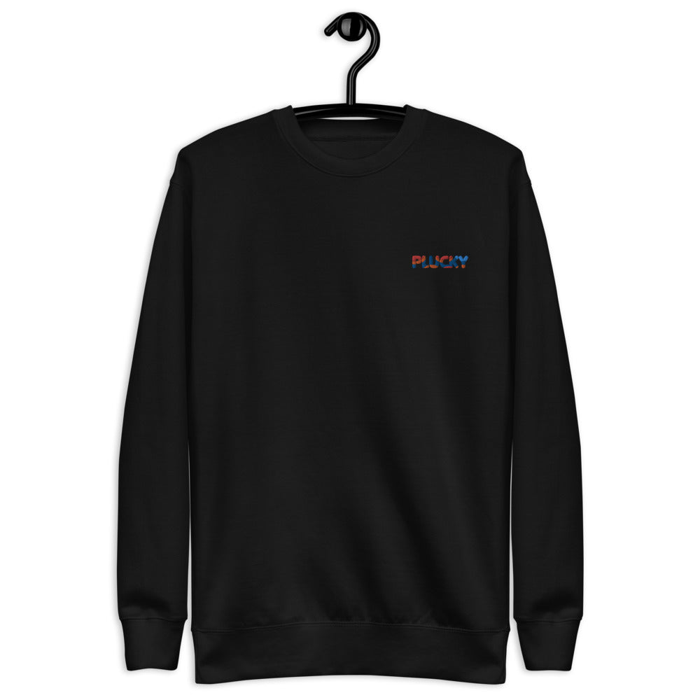 Plucky Embroidered Sweatshirt