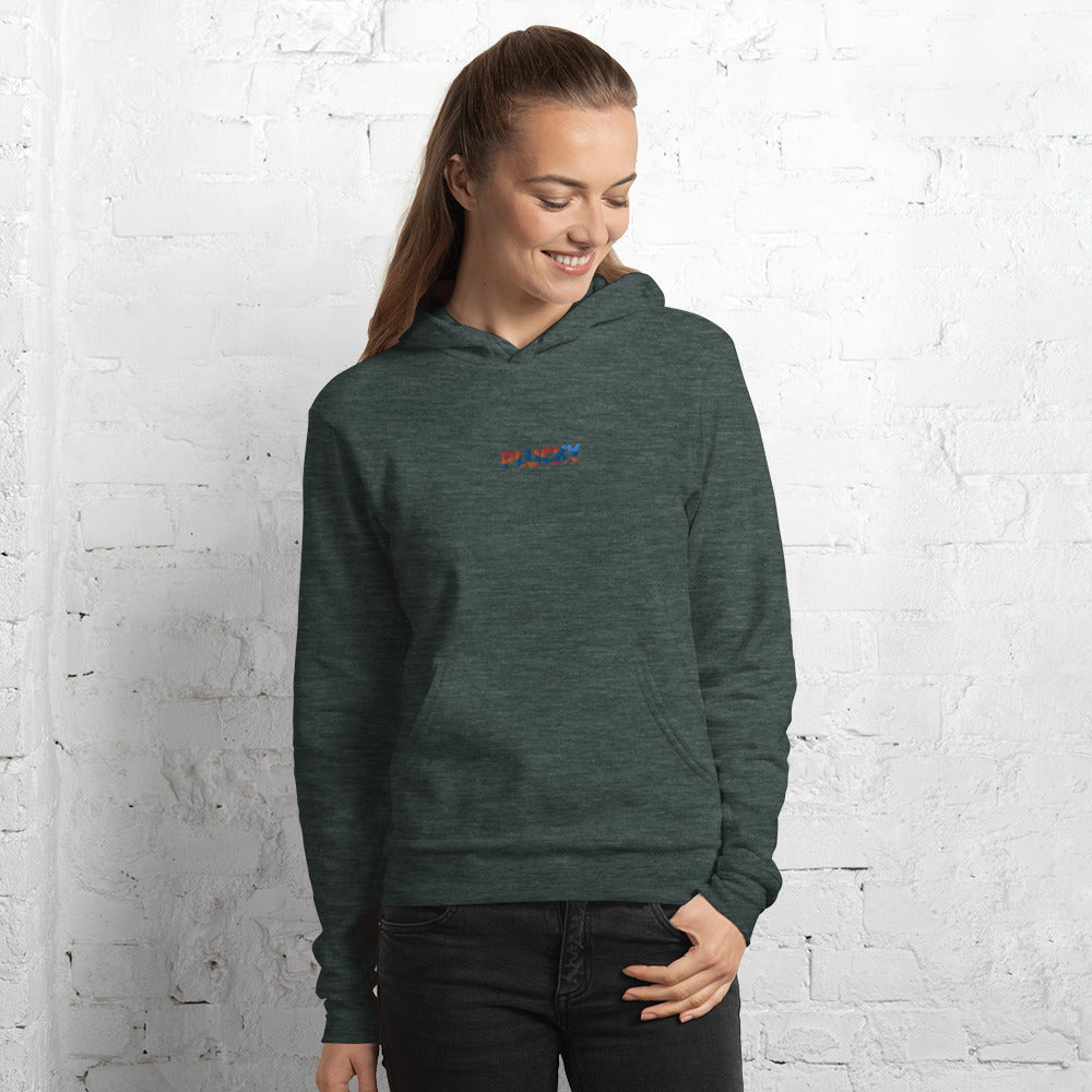 Embroidered hoodie online hollister